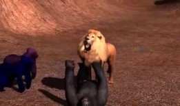 小熊被爆料的视频在线观看,揭秘网络红人真实一面